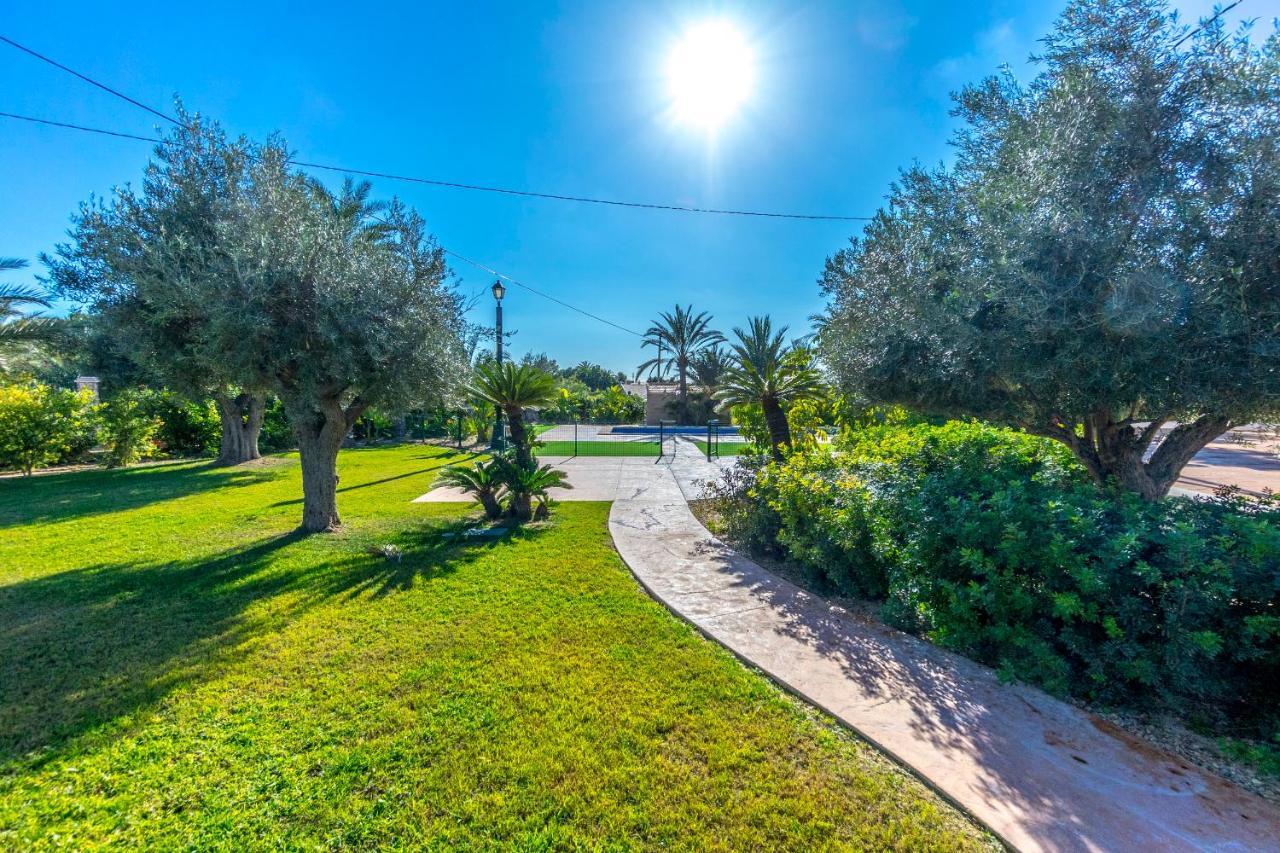Finca Santa Barbara Elche Ngoại thất bức ảnh